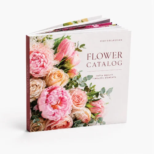 Mylar Bags with Full-color printing, resealable zipper and tear notch for easy tear off